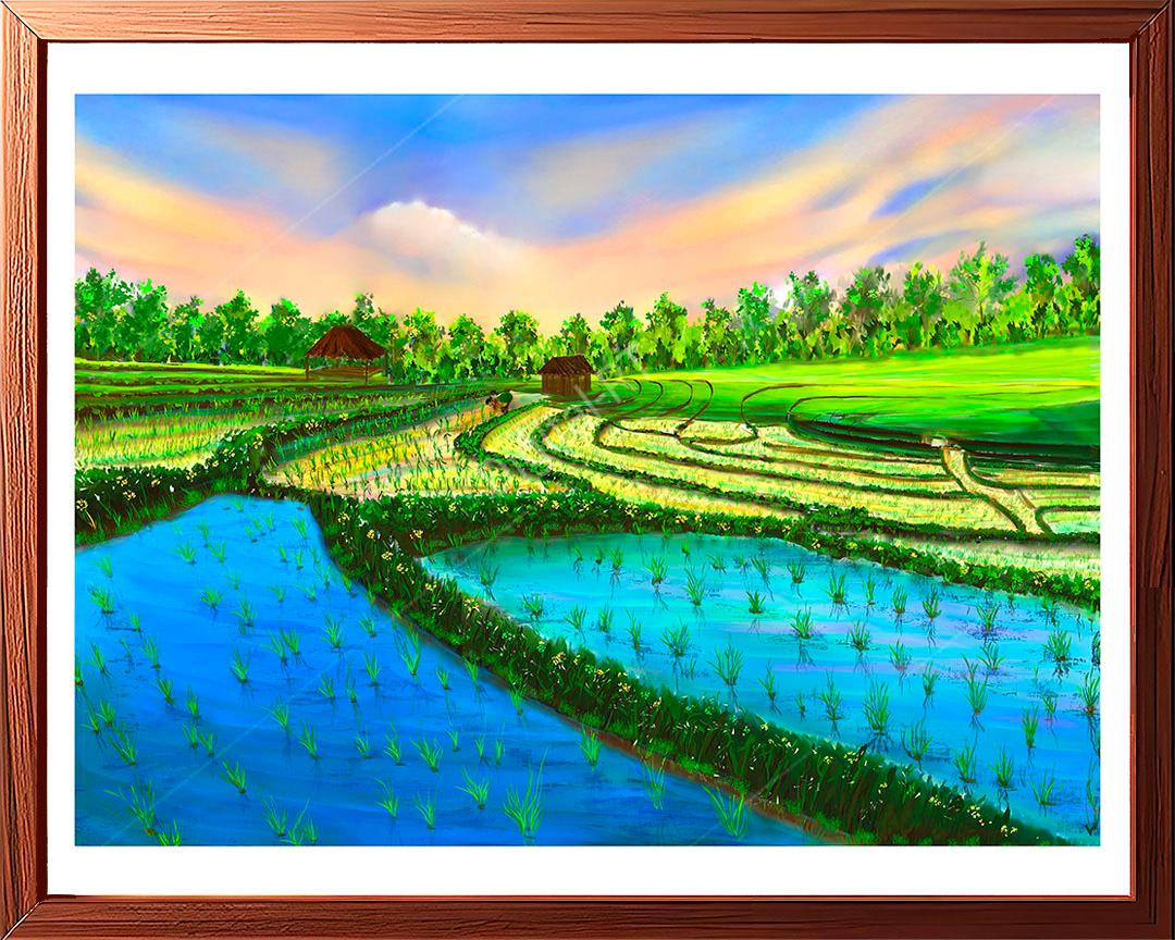 rice cultivation